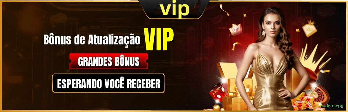 Suporte VIP sudestepg - atendimento prioritário